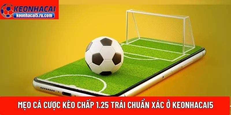 mẹo cá cược kèo chấp 1.25 trái